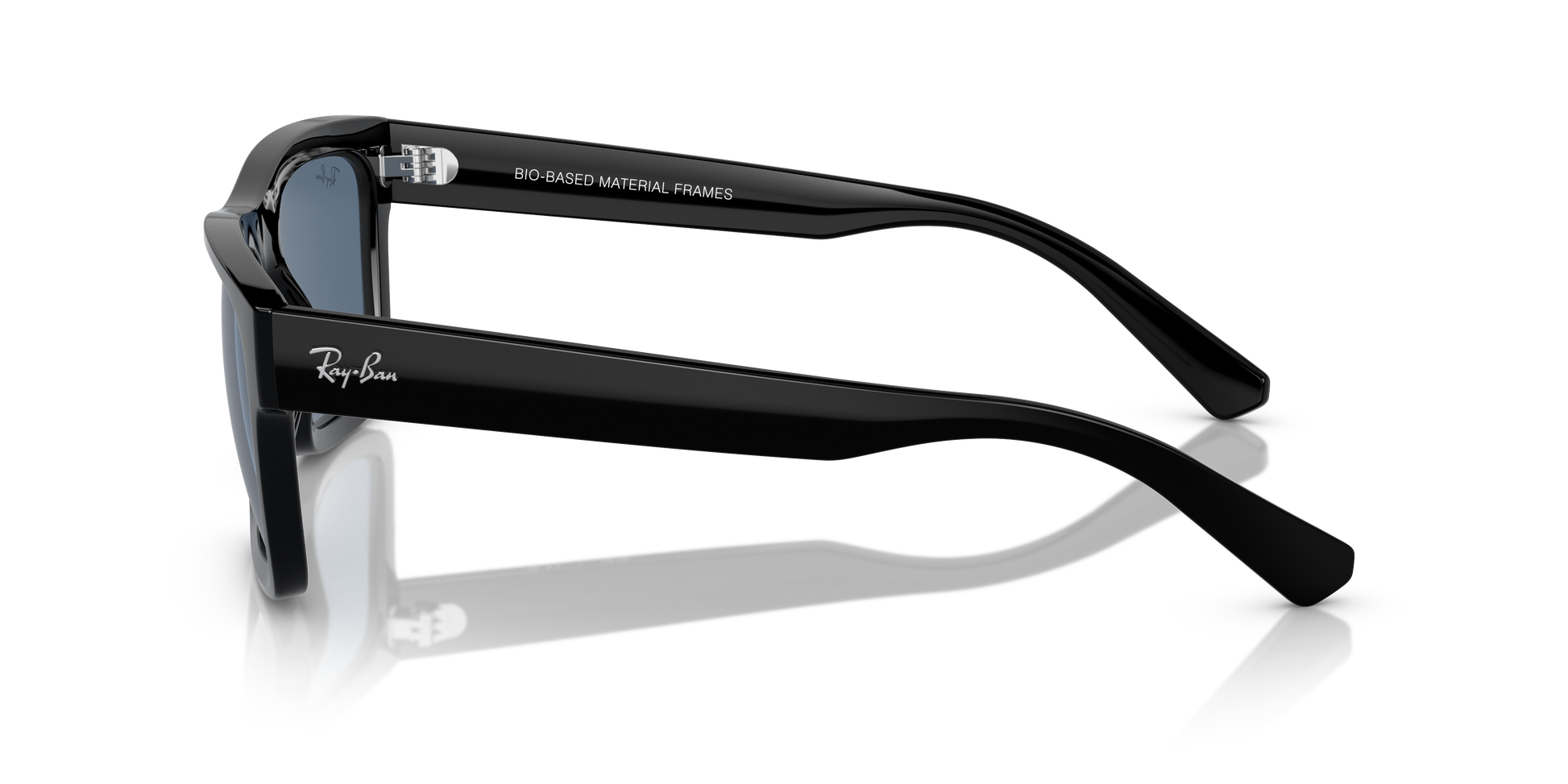 Ray-Ban WARREN RB4396 667780