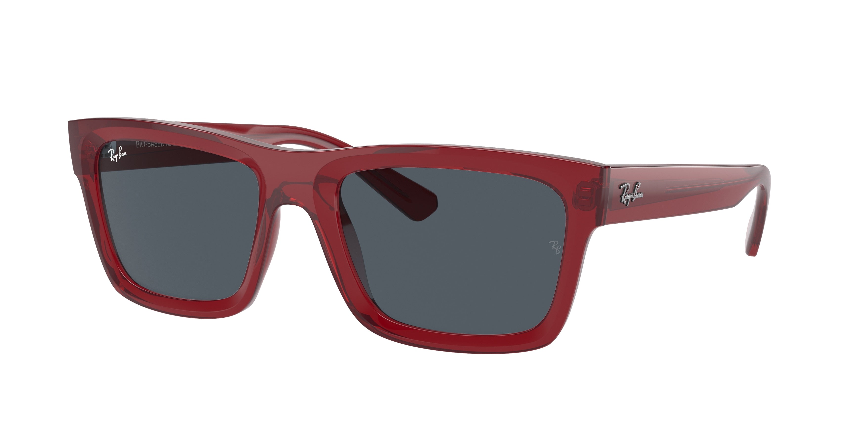 Ray-Ban WARREN RB4396 667987