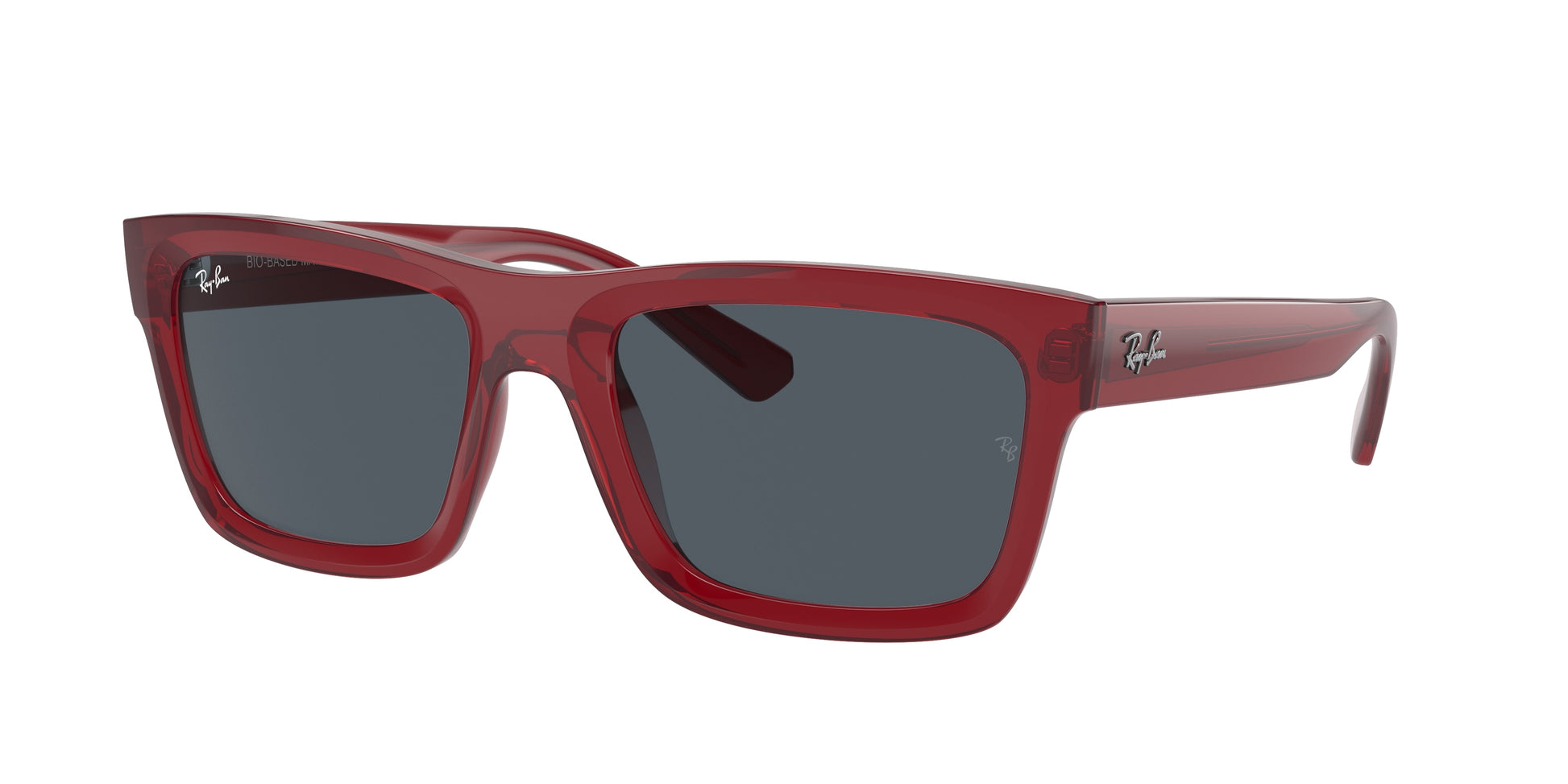 Ray-Ban WARREN RB4396 667987