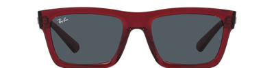 Ray-Ban WARREN RB4396 667987