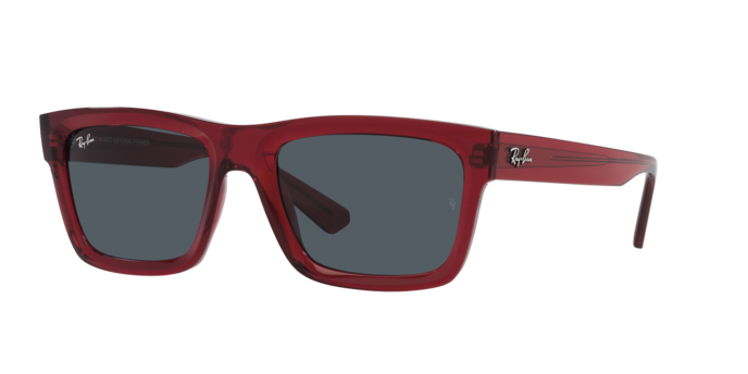 Ray-Ban WARREN RB4396 667987