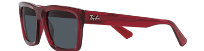 Ray-Ban WARREN RB4396 667987