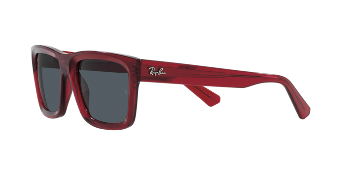 Ray-Ban WARREN RB4396 667987