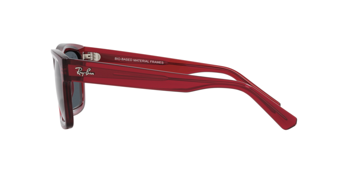 Ray-Ban WARREN RB4396 667987