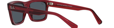 Ray-Ban WARREN RB4396 667987