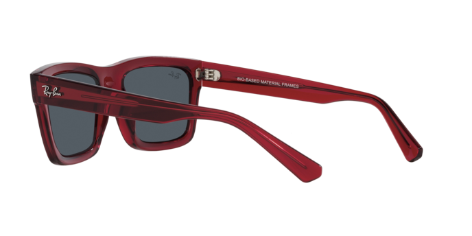 Ray-Ban WARREN RB4396 667987