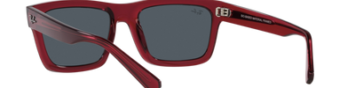 Ray-Ban WARREN RB4396 667987