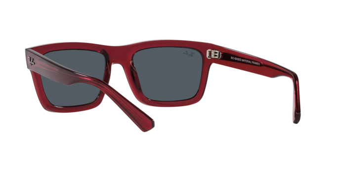 Ray-Ban WARREN RB4396 667987