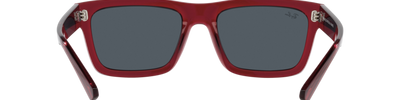 Ray-Ban WARREN RB4396 667987