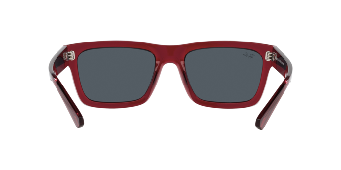 Ray-Ban WARREN RB4396 667987