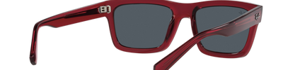 Ray-Ban WARREN RB4396 667987