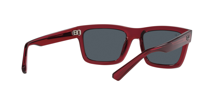 Ray-Ban WARREN RB4396 667987