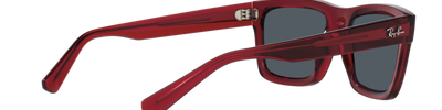 Ray-Ban WARREN RB4396 667987