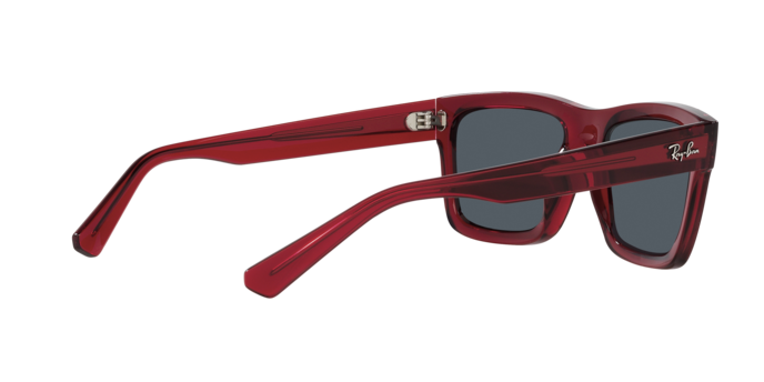 Ray-Ban WARREN RB4396 667987