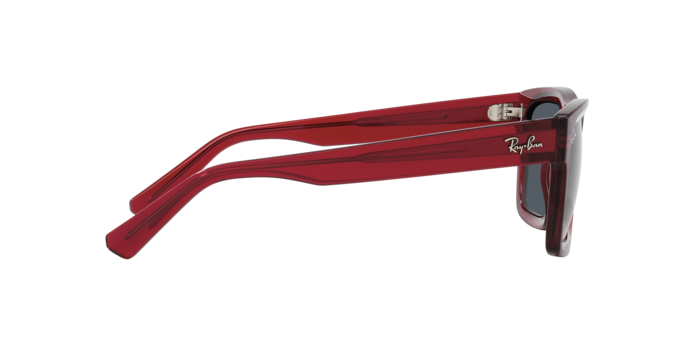 Ray-Ban WARREN RB4396 667987