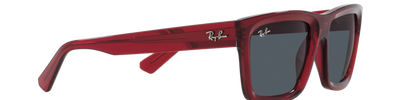 Ray-Ban WARREN RB4396 667987