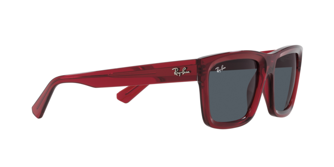 Ray-Ban WARREN RB4396 667987