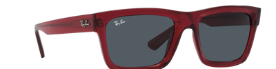 Ray-Ban WARREN RB4396 667987