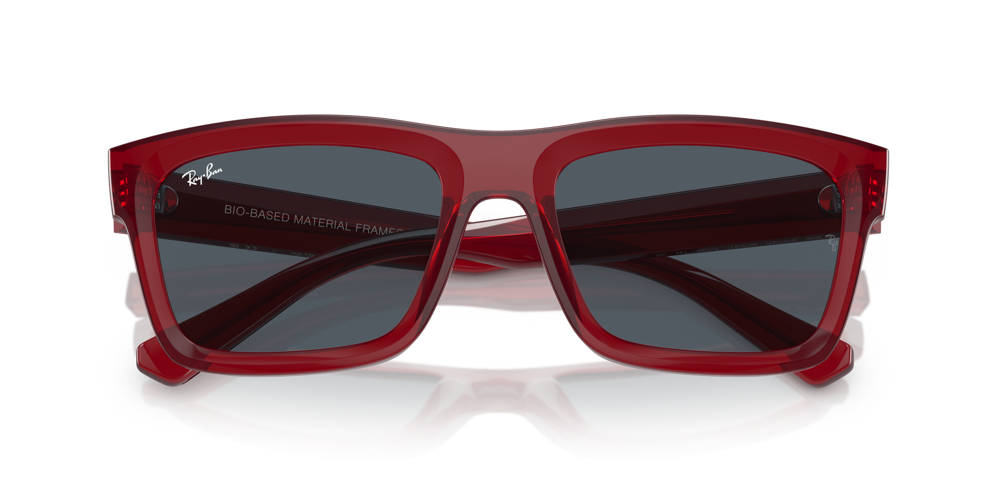 Ray-Ban WARREN RB4396 667987