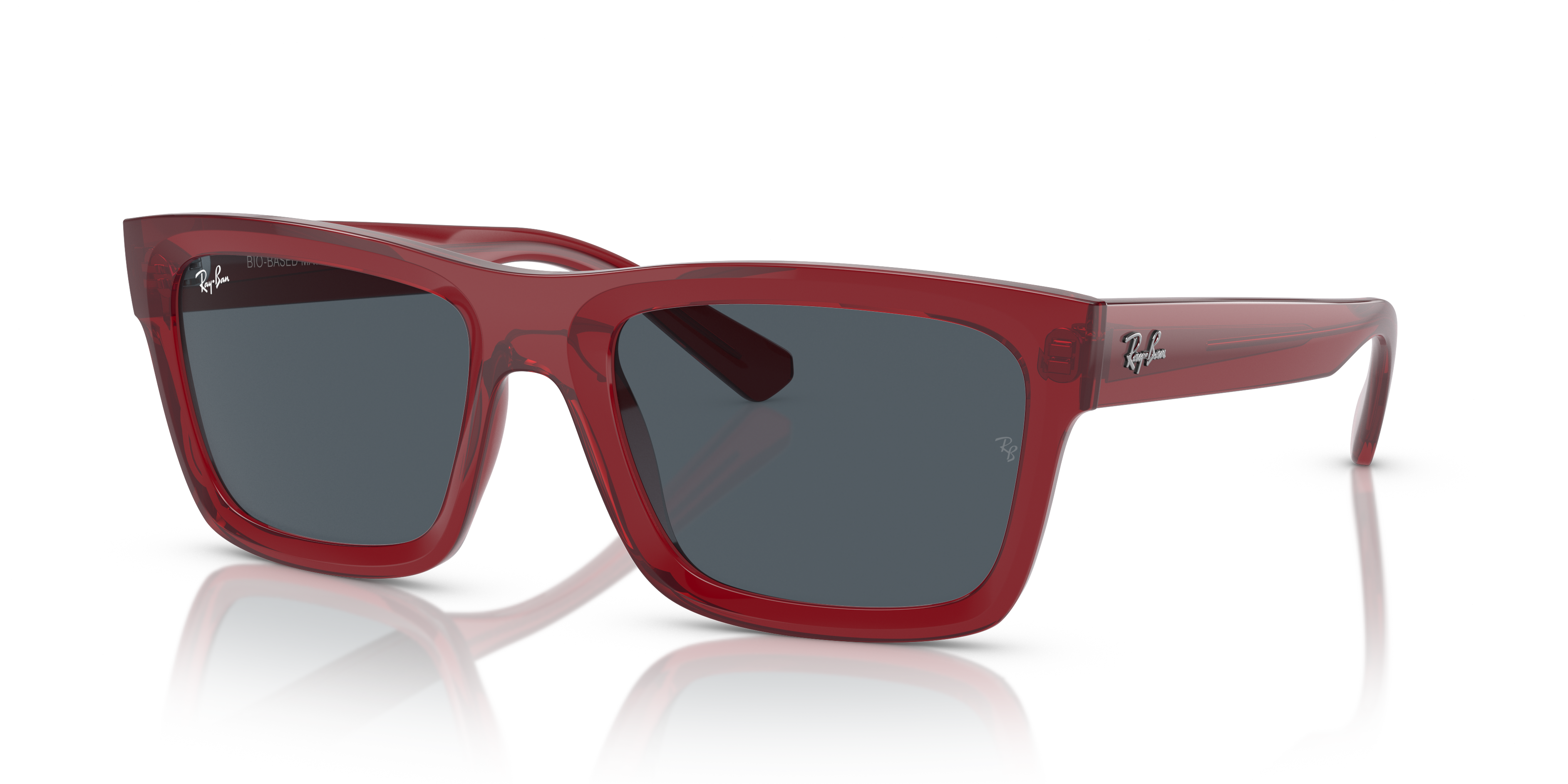 Ray-Ban WARREN RB4396 667987