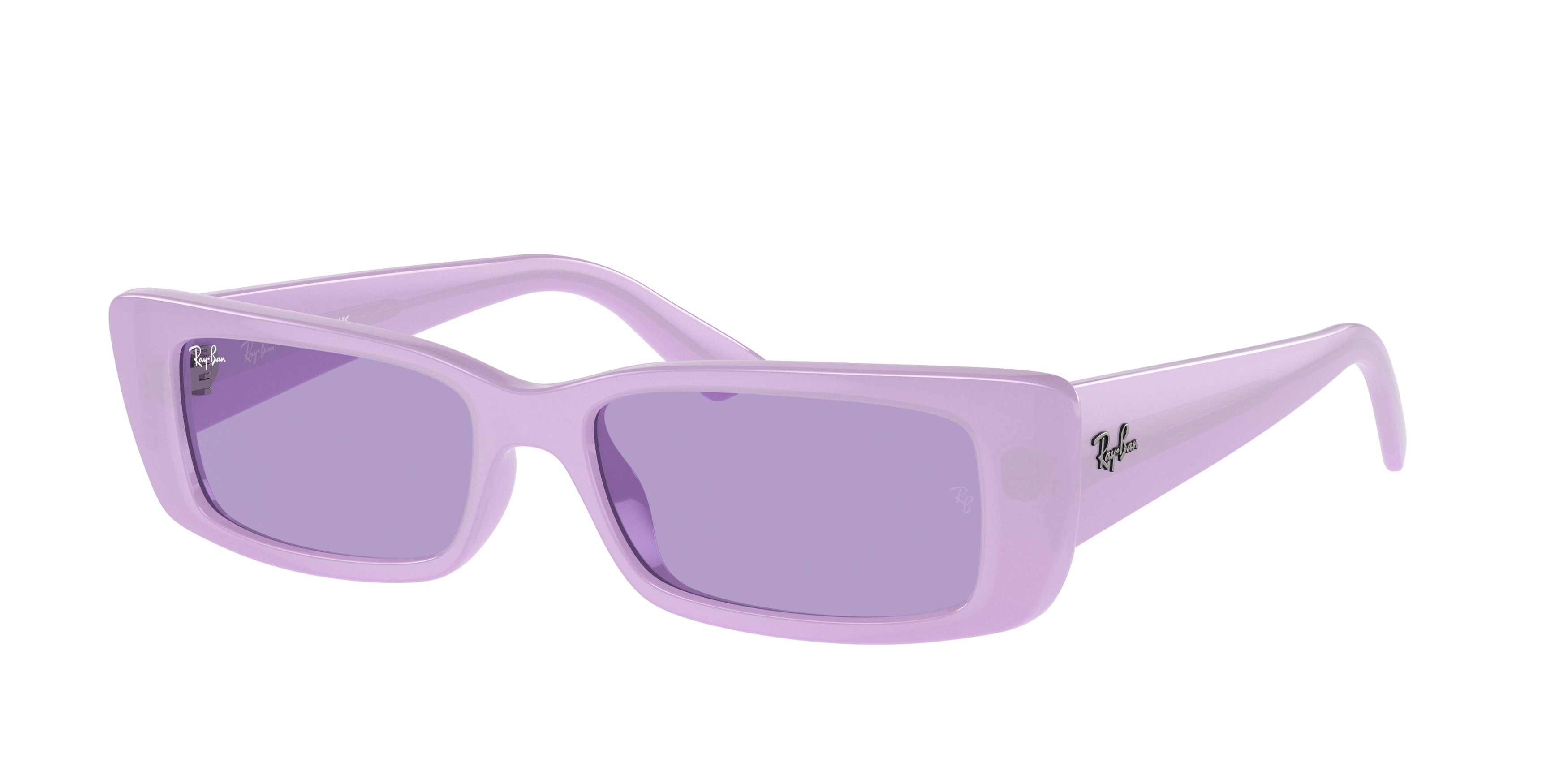 Ray-Ban TERU RB4425 67581A