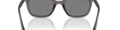RAY-BAN RB4439D 667587 - View 4