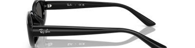 Ray-Ban RB4441D 667787