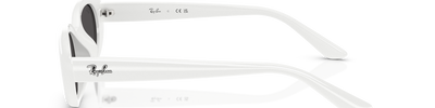 Ray-Ban RB4441D 677287