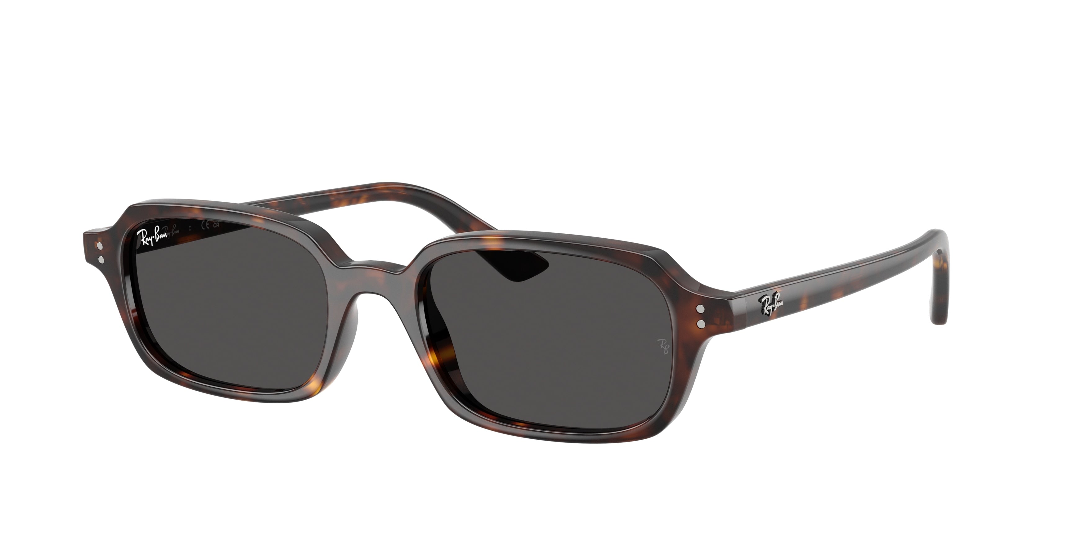 Ray-Ban ZURI RB4455 135987