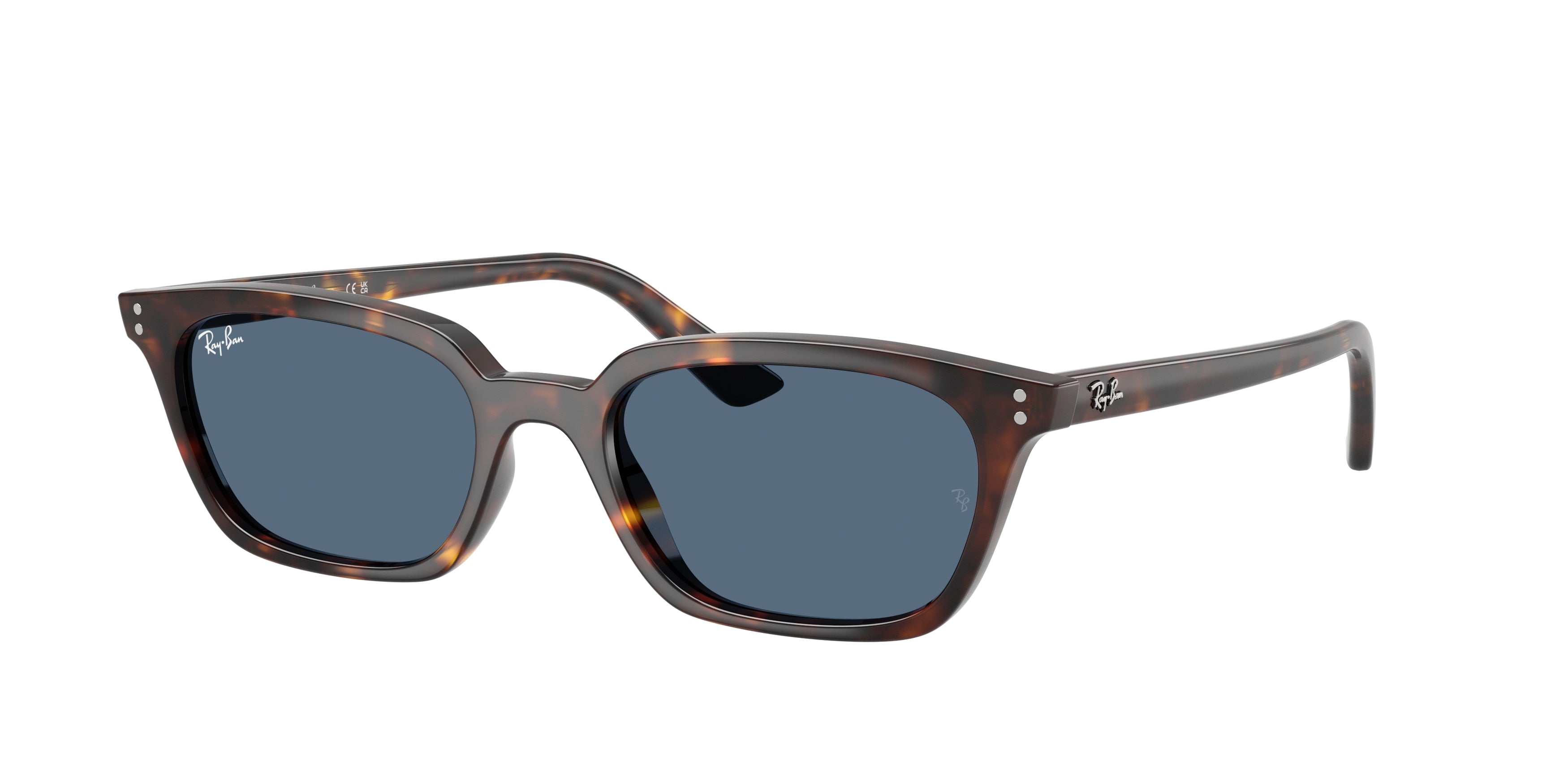Ray-Ban ZAYA RB4456 135980
