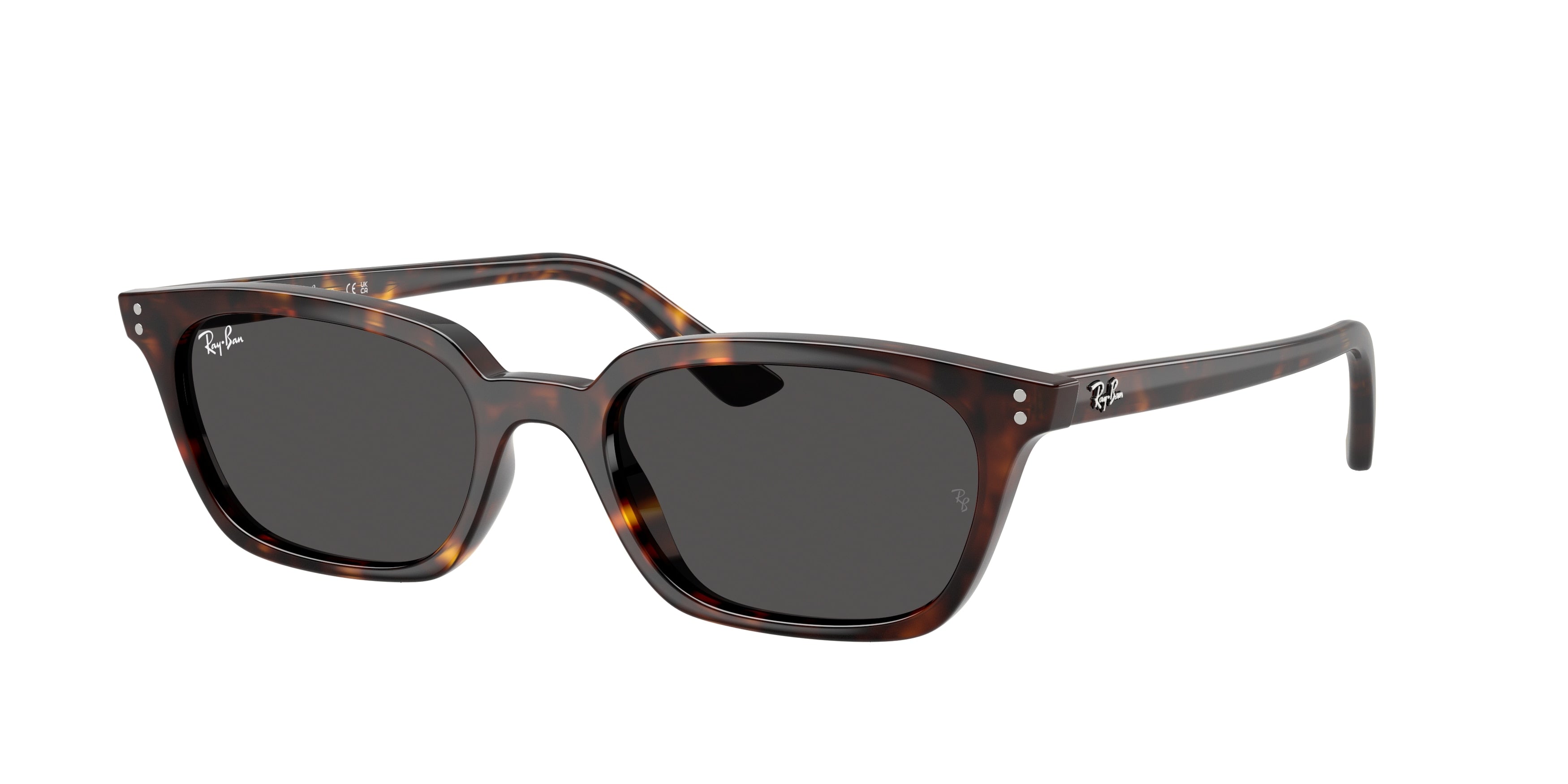 Ray-Ban ZAYA RB4456 135987