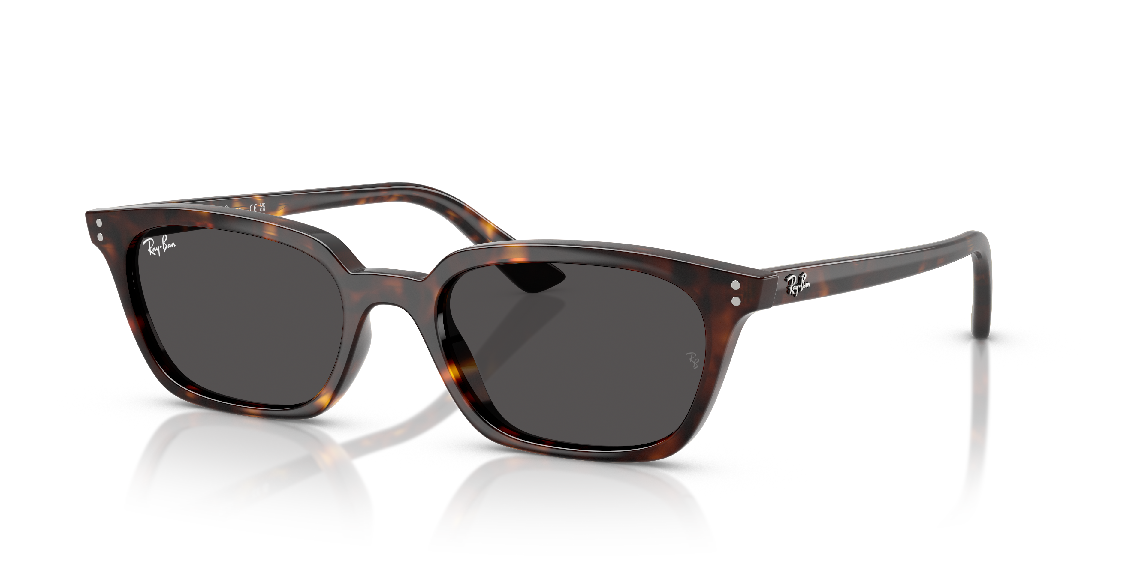 Ray-Ban ZAYA RB4456 135987