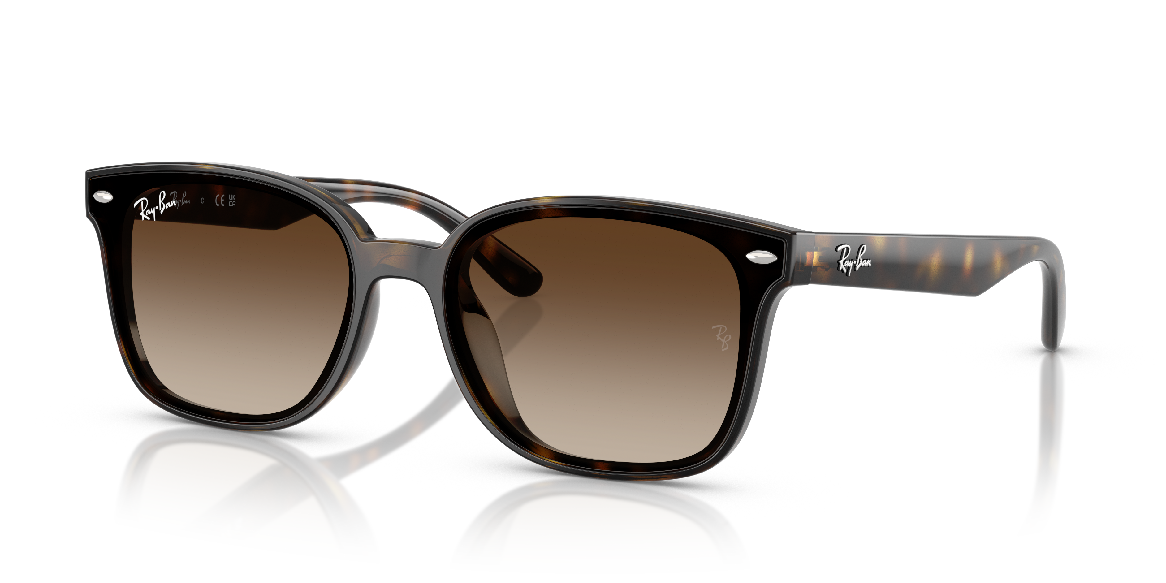Ray-Ban RB4461D 710/13
