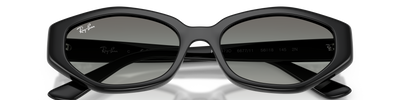 Ray-Ban RB4473D 667711