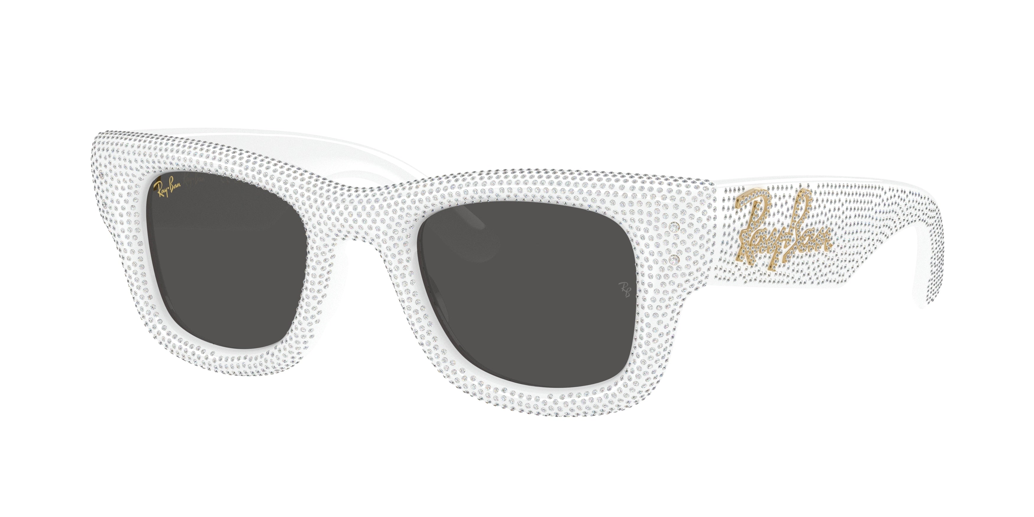 Ray-Ban WAYFARER PUFFER RB4940BP 686687