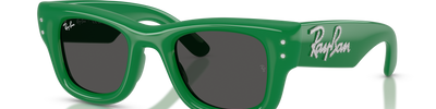 Ray-Ban WAYFARER PUFFER RB4940B 685987