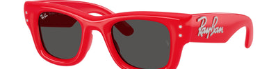 Ray-Ban WAYFARER PUFFER RB4940B 686187