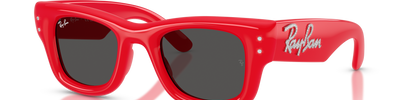 Ray-Ban WAYFARER PUFFER RB4940B 686187