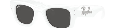 Ray-Ban WAYFARER PUFFER RB4940B 686387