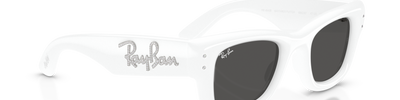 Ray-Ban WAYFARER PUFFER RB4940B 686387