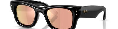 Ray-Ban WAYFARER PUFFER RB4940 601/7J