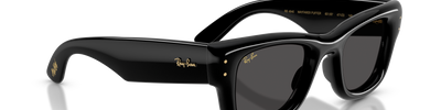 Ray-Ban WAYFARER PUFFER RB4940 601/87