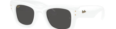 Ray-Ban WAYFARER PUFFER RB4940 671/87