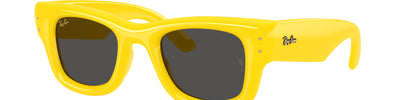 Ray-Ban WAYFARER PUFFER RB4940 683087