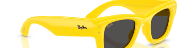 Ray-Ban WAYFARER PUFFER RB4940 683087