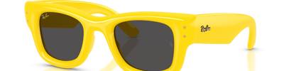 Ray-Ban WAYFARER PUFFER RB4940 683087