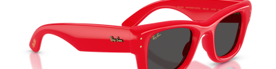 Ray-Ban WAYFARER PUFFER RB4940 683187