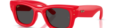 Ray-Ban WAYFARER PUFFER RB4940 683187