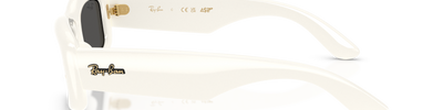 Ray-Ban RB4944 687487