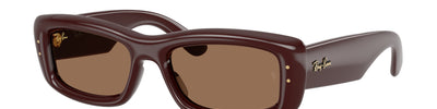 Ray-Ban RB4944 687773
